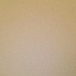 Meet your Posher, Wyatt